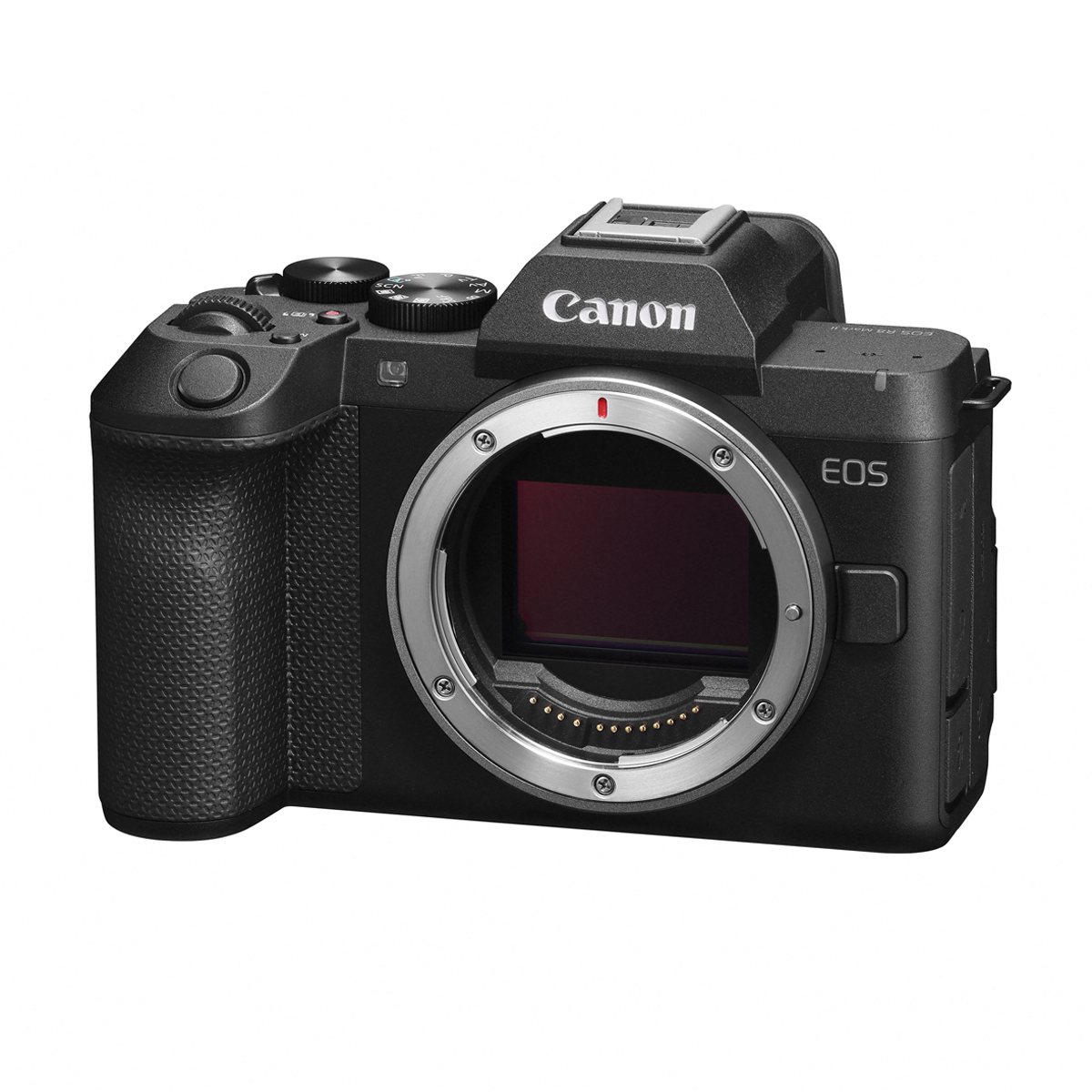 Canon EOS R8 II Body