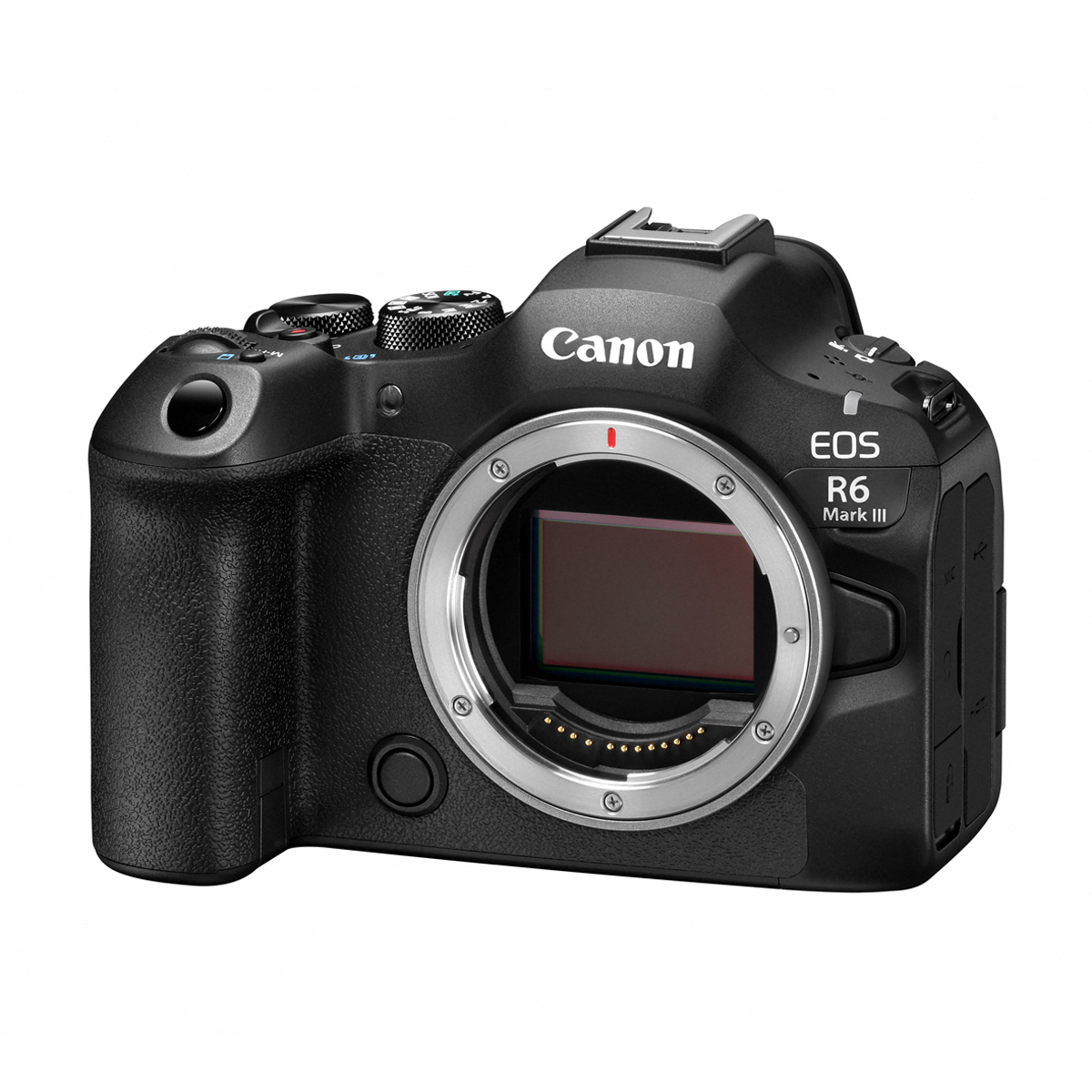 Canon EOS R6 III Body schwarz