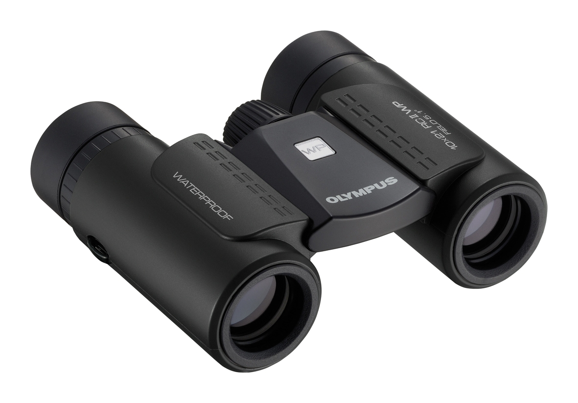 Olympus 10x21 RC II WP Schwarz