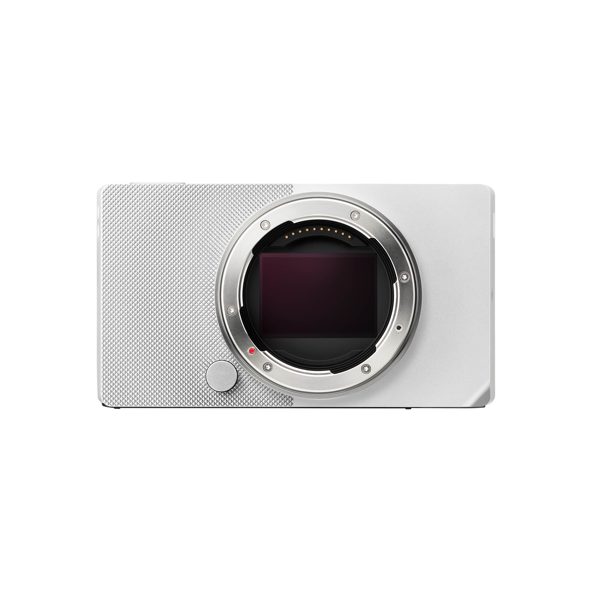 Sigma BF Kamera Body silber