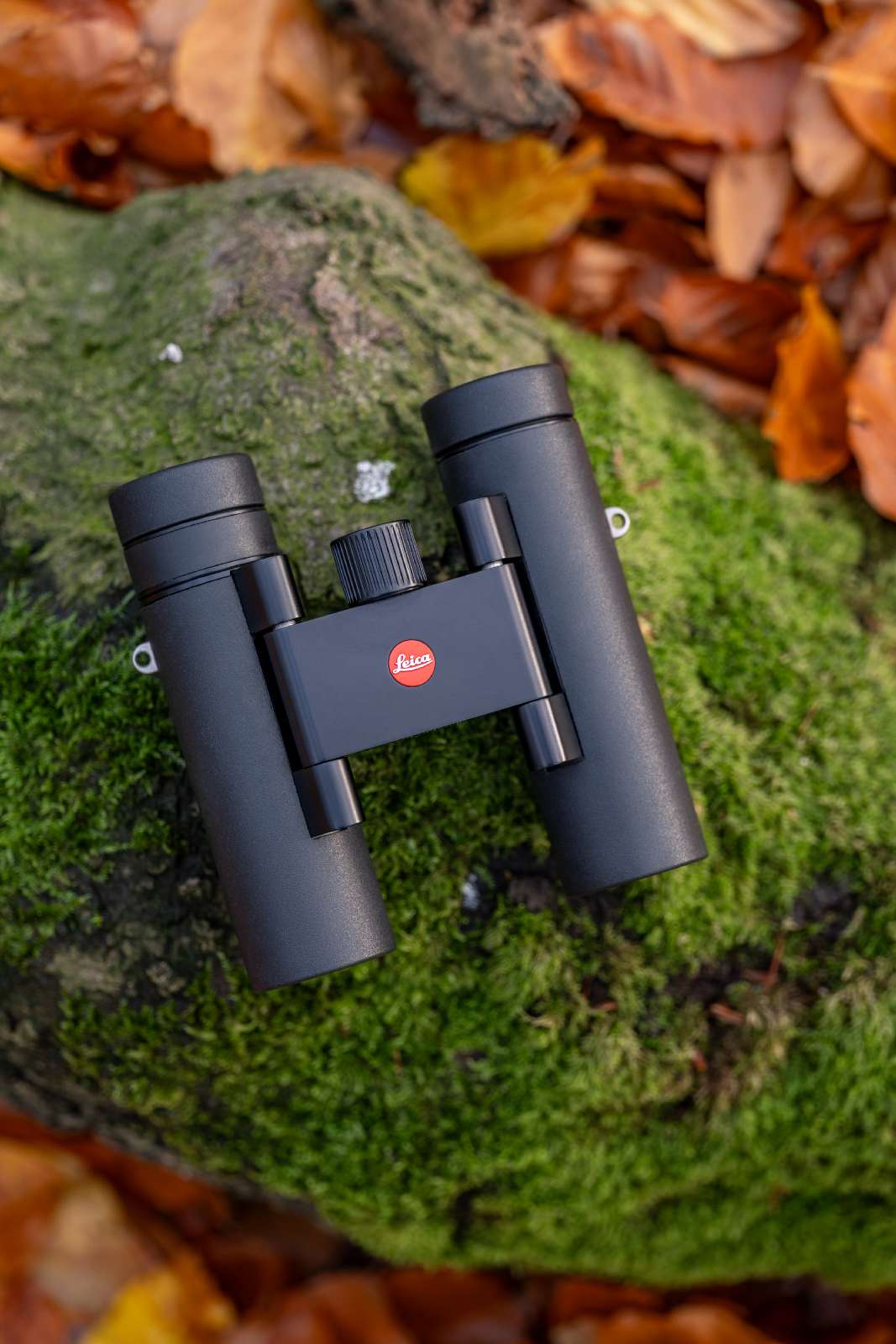Leica Noctivid 10x25 Fernglas Schwarz