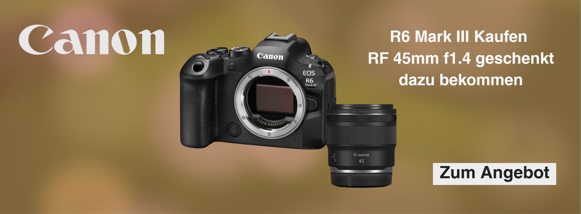 r6 iii + rf45